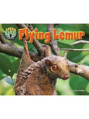 cover image of Flying Lemur